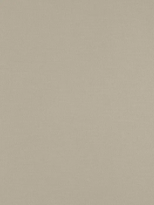 54429-4