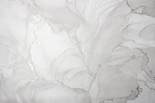 VS285914