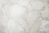 VS285912