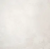 VS285922_1