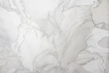 VS285917
