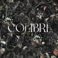 Обои Colibri | Дом Декора