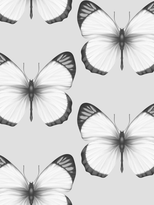 54401-1
